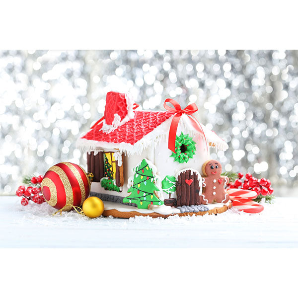 Fox Rolled Gingerbread House Christmas Snow Vinyl Backdrop - Foxbackdrop