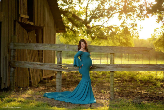 Fox Long Sleeve Aqua Maternity Dress for Photography