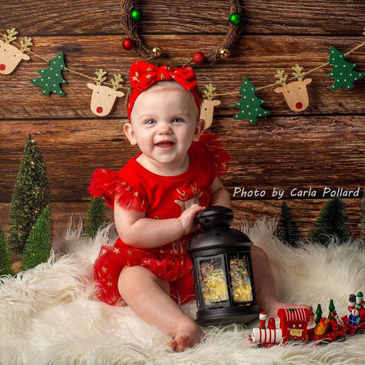 Fox Rolled Brown Barn Wood Vinyl Photography Backdrop - Foxbackdrop