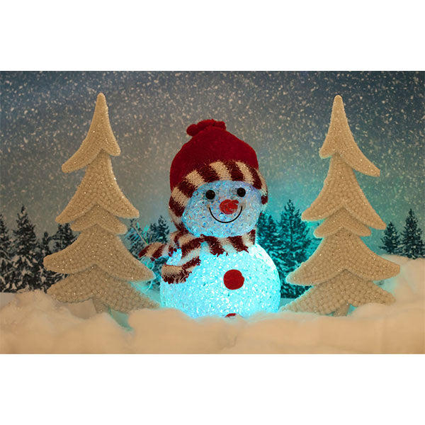 Fox Snowman Winter Vinyl Christmas Photo Backdrop - Foxbackdrop