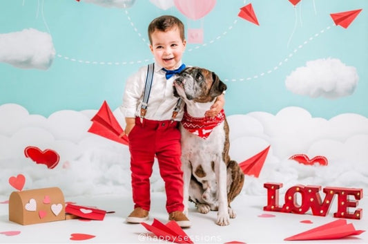 Fox Valentine's Day Clouds Vinyl Backdrop Designed by JT photography