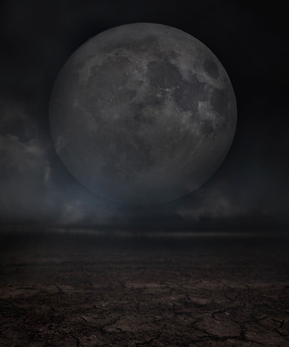 Fox Moon Planet Night Halloween Vinyl Backdrop for Photography