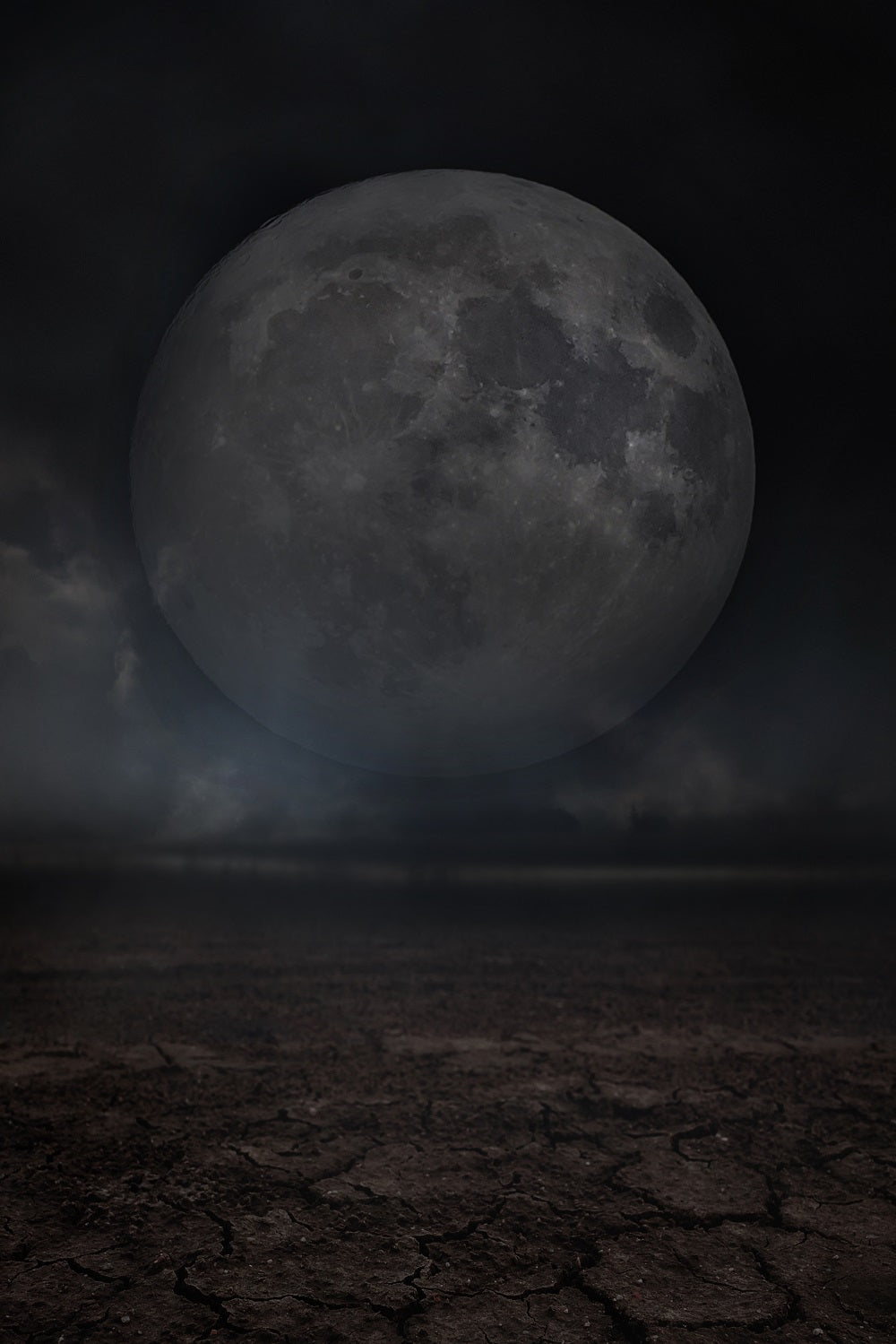 Fox Moon Planet Night Halloween Vinyl/Fabric Backdrop for Photography
