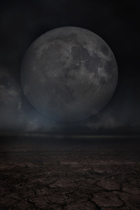 Fox Moon Planet Night Halloween Vinyl Backdrop for Photography