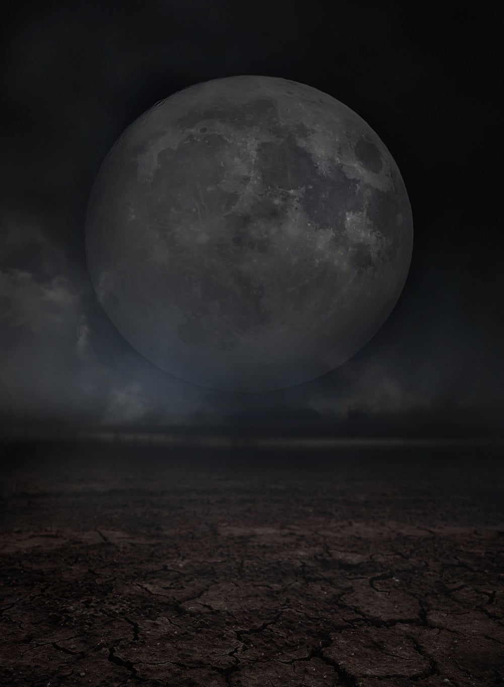 Fox Moon Planet Night Halloween Vinyl/Fabric Backdrop for Photography