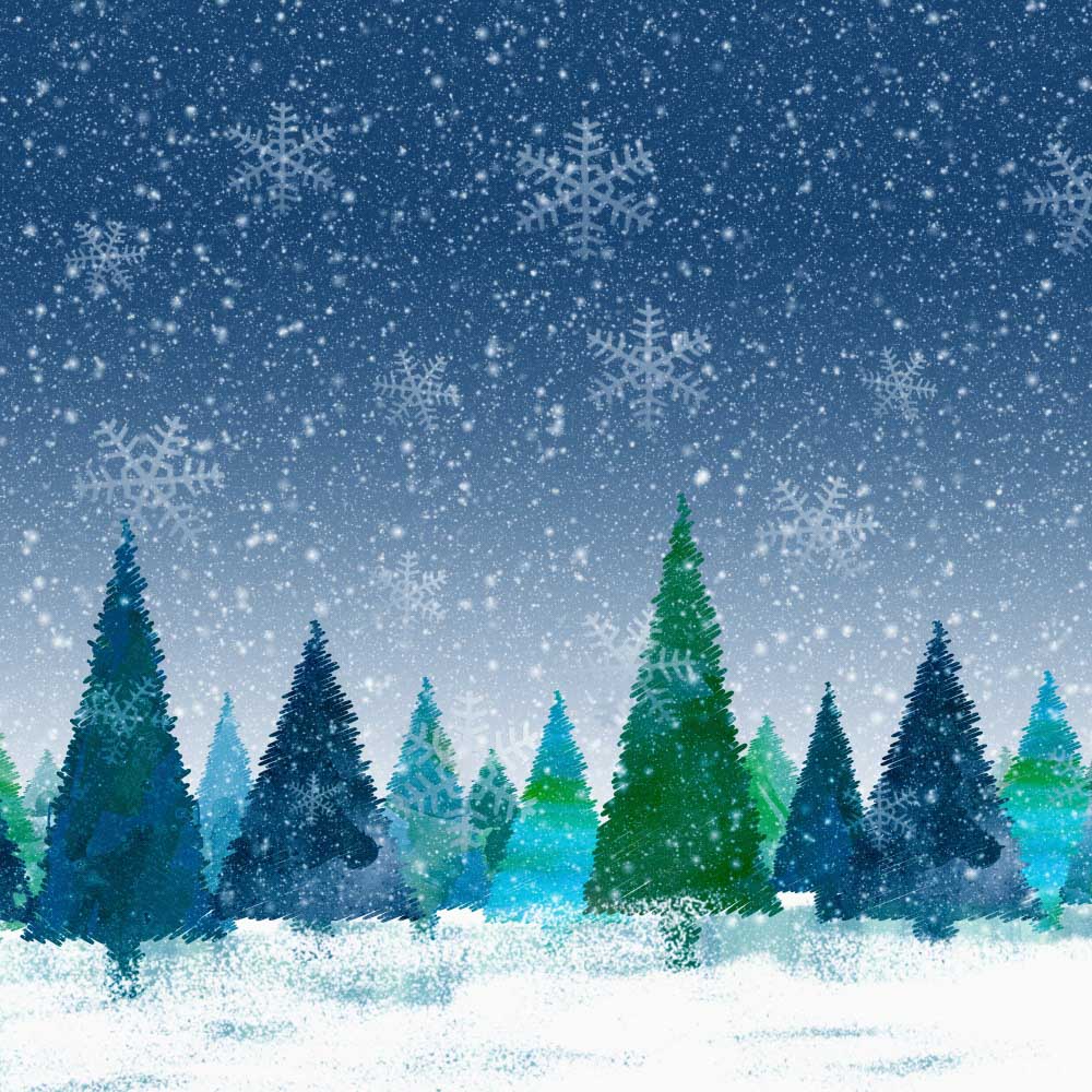 Fox Winter Snow Photostudio Vinyl/Fabric Backdrop