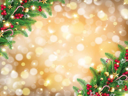 Fox Christmas Shiny Holiday Vinyl Photography Backdrop - Foxbackdrop
