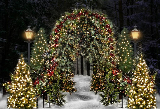 Fox Rolled Snow Lights Vinyl Christmas Backdrops - Foxbackdrop
