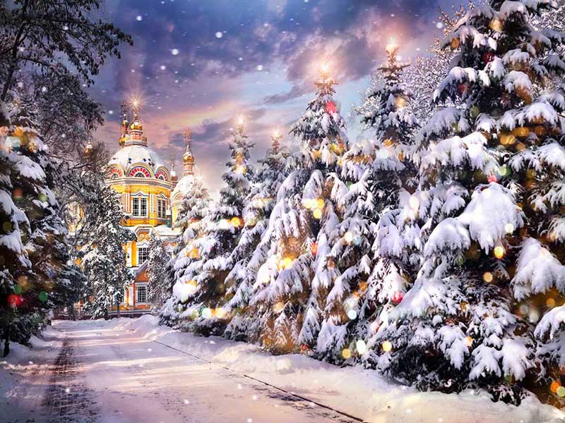 Fox Rolled Christmas Trees Castle Vinyl Christmas Backdrops - Foxbackdrop