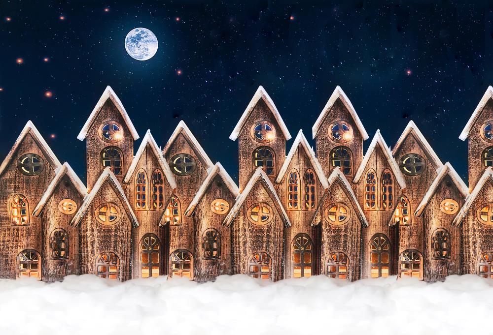 Fox Snow Winter Christmas Castle Photography Vinyl Backdrop