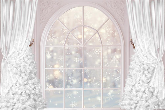 Fox Snow Winter Christmas Indoor Photography Vinyl Backdrop