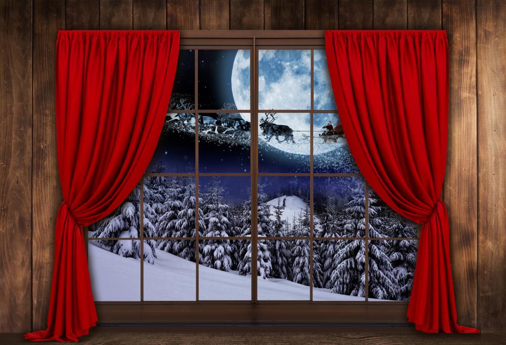 Fox Snow Outside the Window Winter Christmas Vinyl Backdrop