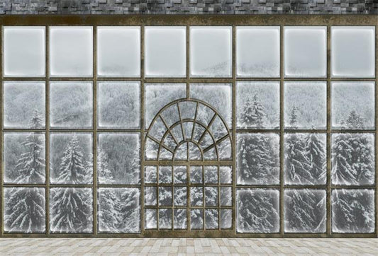Fox Snow Window Winter Vinyl Photography Backdrop
