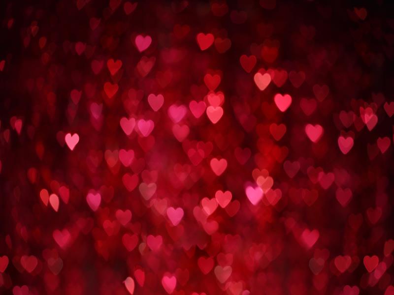 Fox Red Heart Bokeh Romantic Valentine's Day Vinyl Backdrop
