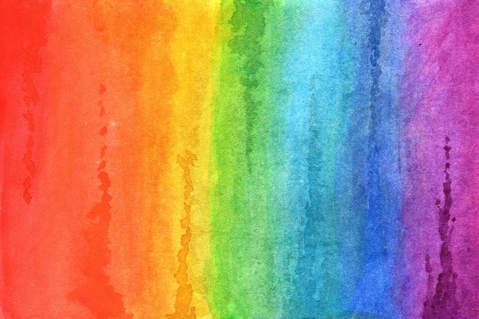 Fox Rainbow Painting Colorful Vinyl Photography Backdrop