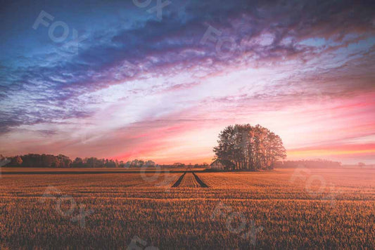 Fox Natural Landscape Sunset Field Vinyl Photography Backdrop
