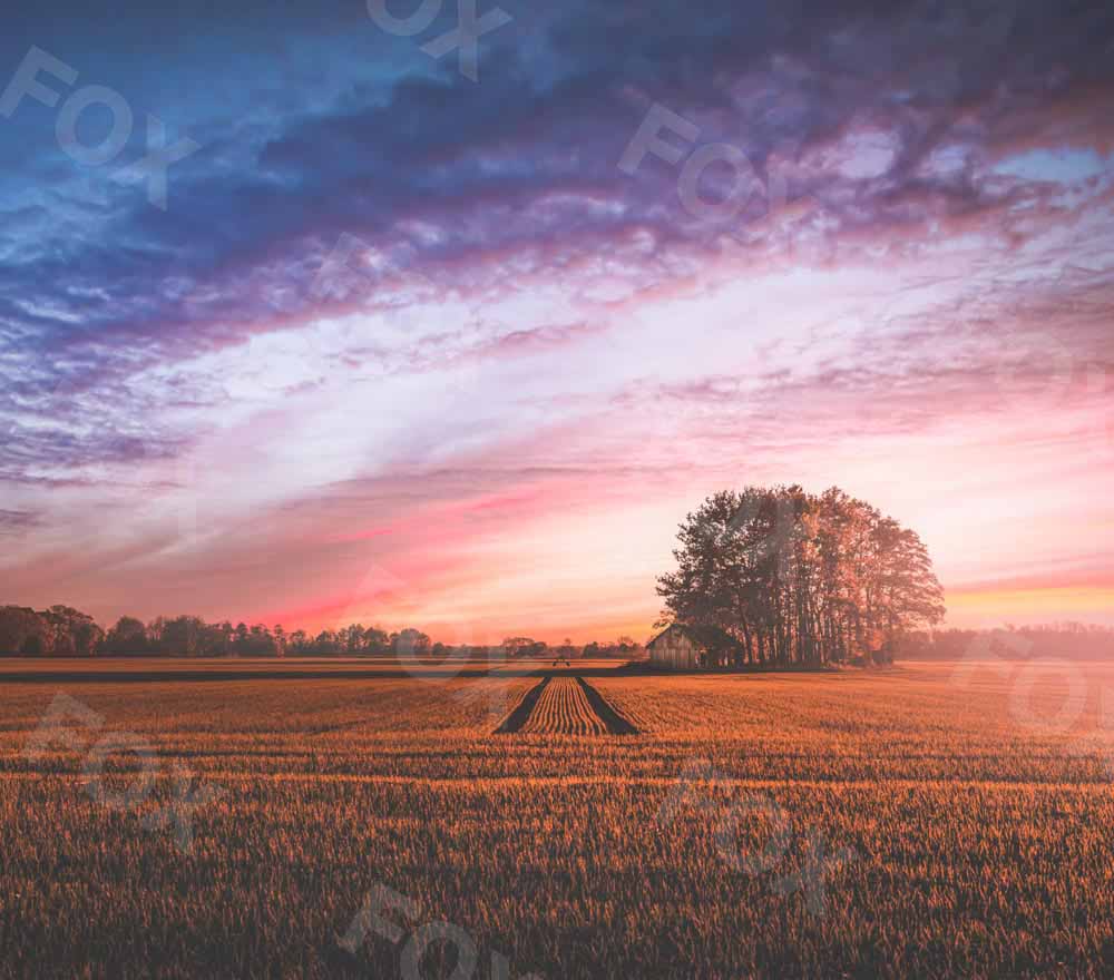 Fox Natural Landscape Sunset Field Vinyl Photography Backdrop