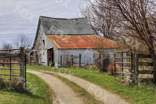 Fox Lugares Rurales Country Road Vinyl Photography Backdrop