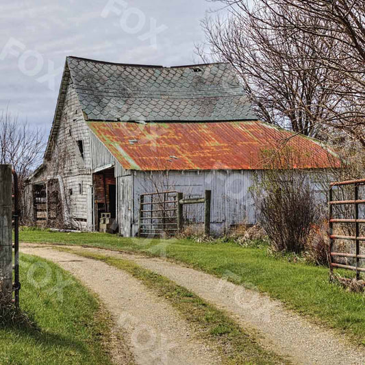 Fox Lugares Rurales Country Road Vinyl Photography Backdrop