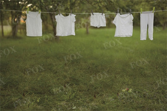 Fox Spring Washing Days Vinyl Outdoor Photography Backdrop