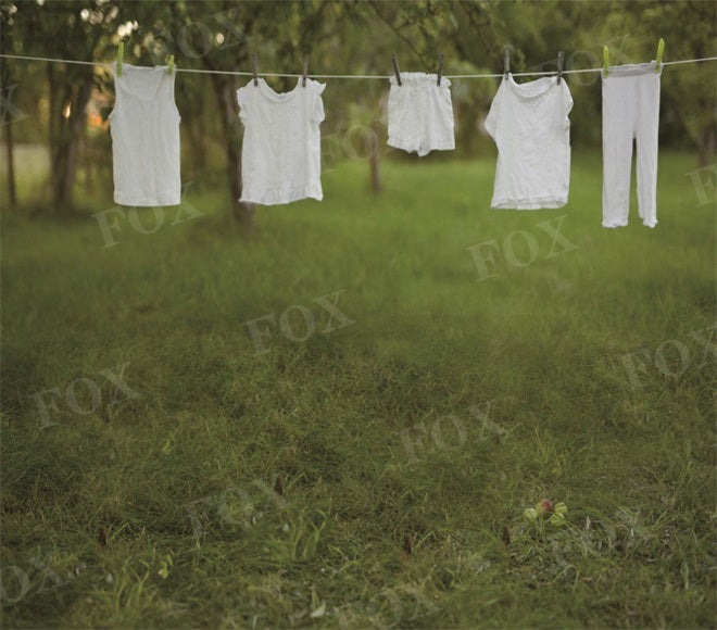 Fox Spring Washing Days Vinyl Outdoor Photography Backdrop