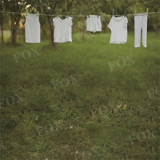 Fox Spring Washing Days Vinyl Outdoor Photography Backdrop