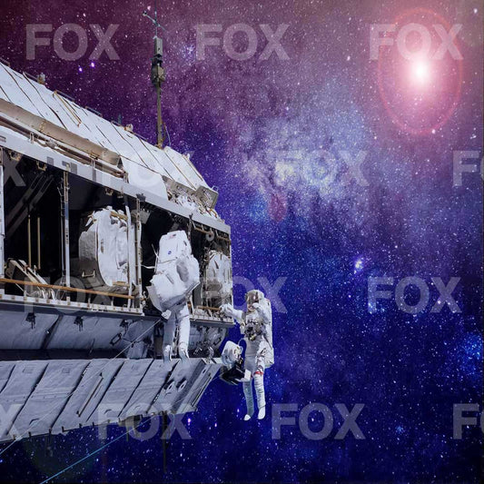 Fox Starry Sky Astronaut Vinyl Photography Backdrop