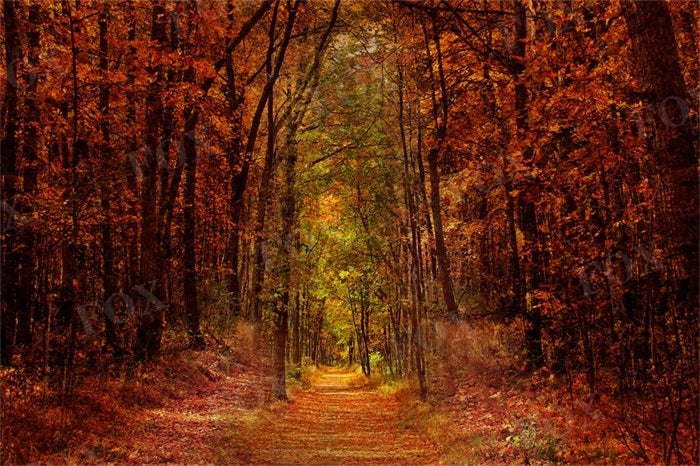 Fox Natural Landscape Autumn Outdoor Photography Fabric/Vinyl Backdrop