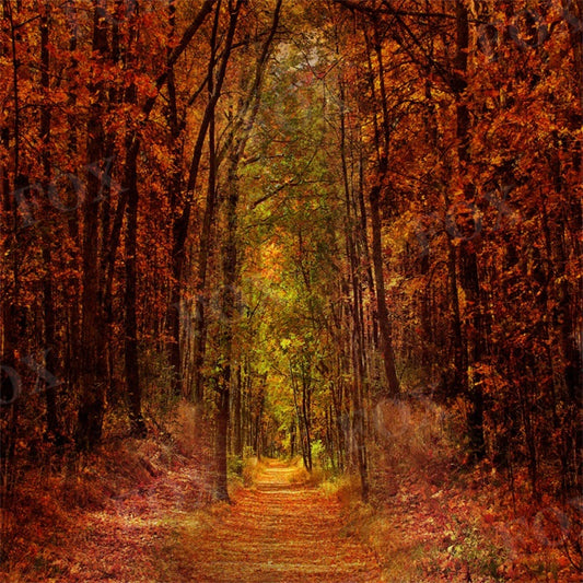 Fox Natural Landscape Autumn Outdoor Photography Vinyl Backdrop