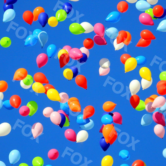 Fox Colorful Balloons Birthday Cakesmash Photography Vinyl Backdrop