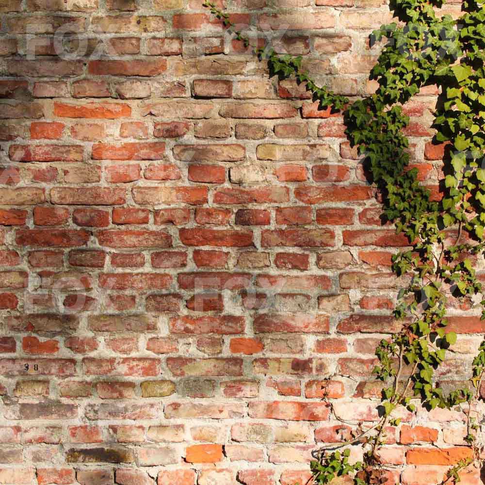 Fox Brick Wall Grass Wall Vinyl Portrait Backdrop