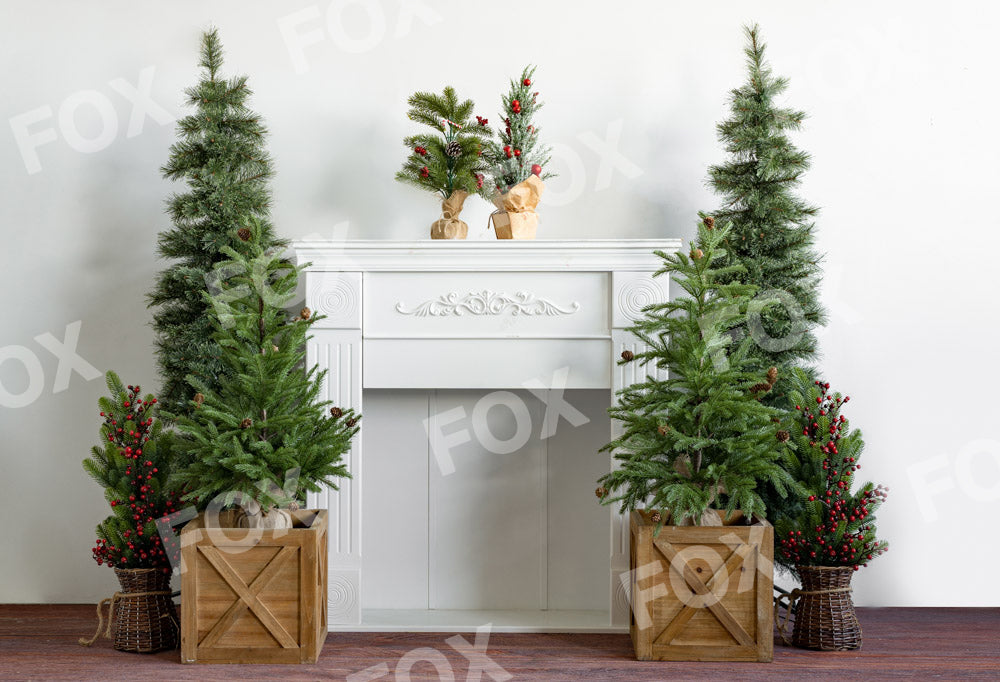 Fox White Christmas Fabric/Vinyl Indoor Photography Backdrop