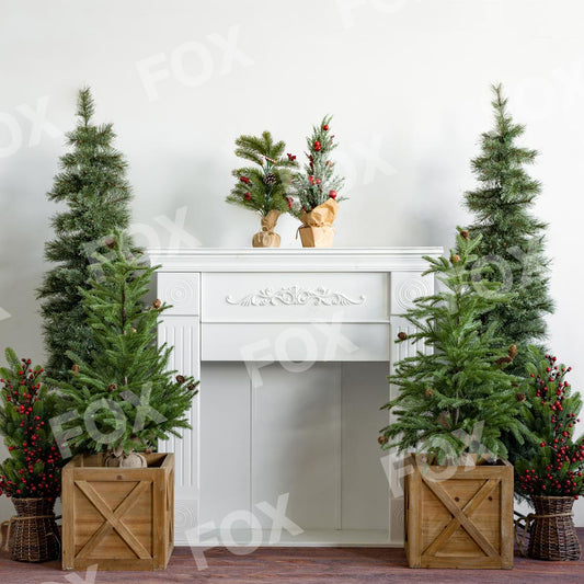 Fox White Christmas Vinyl Indoor Photography Backdrop
