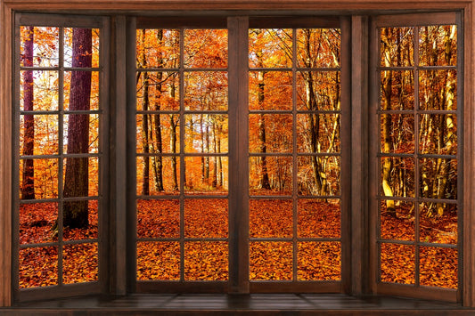 Fox Autumn Leaves Window Fabric/Vinyl Backdrop
