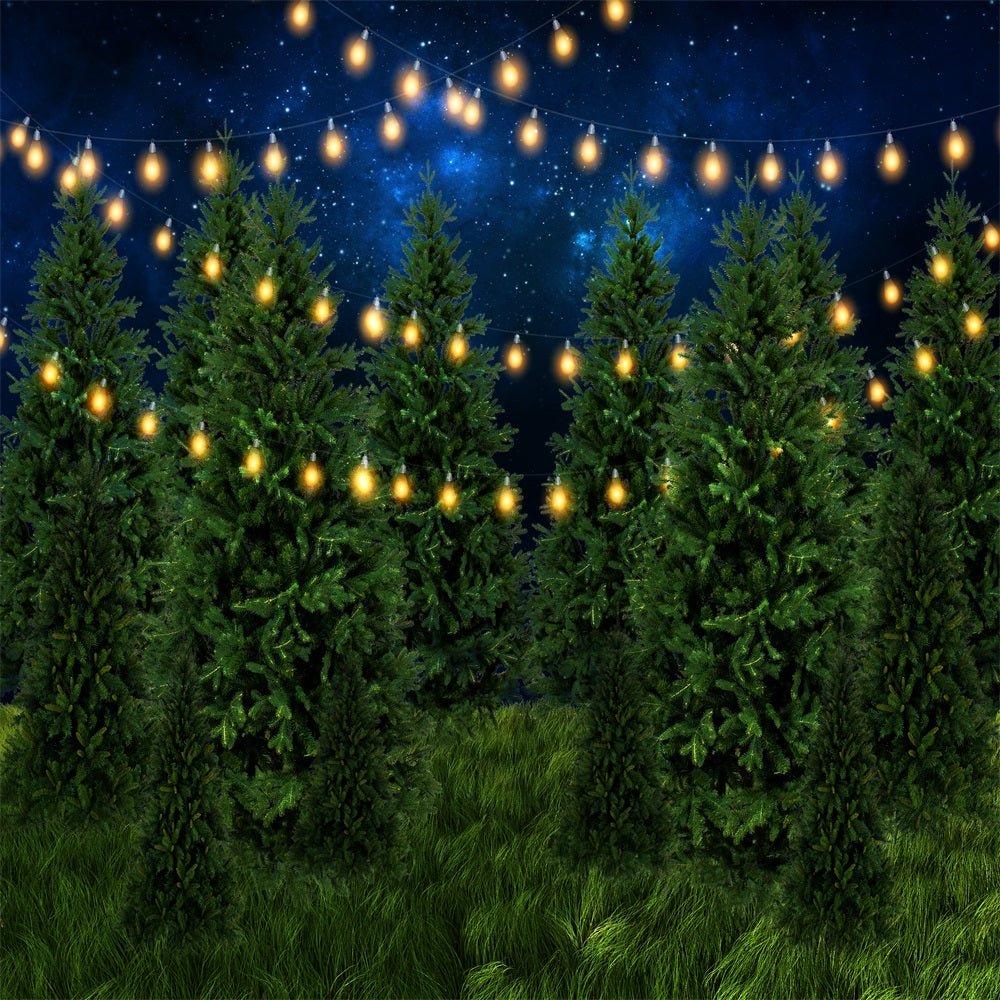 Fox Christmas Tree Night Light Vinyl Backdrop