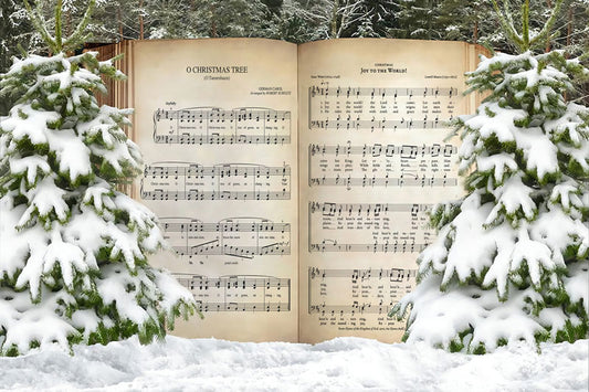 Fox Winter Music Snow Outdoor Photography Vinyl Backdrop