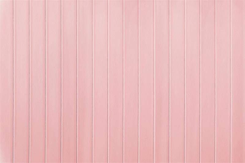 Fox Pink Plank Stripes Photography Vinyl Backdrop
