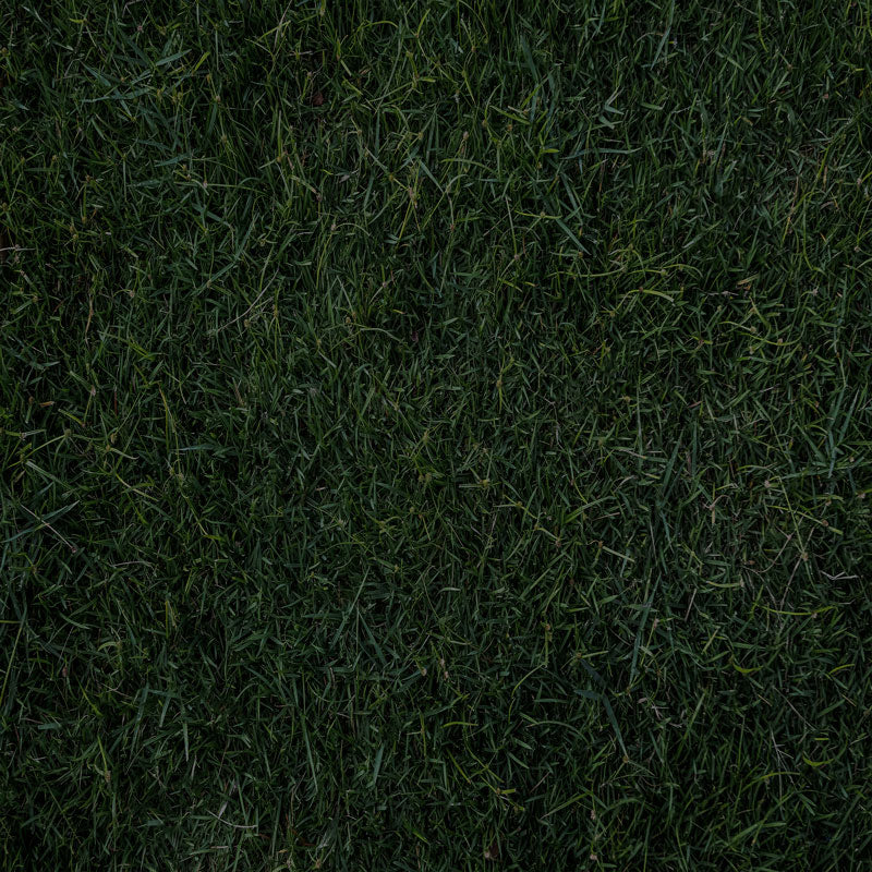 Fox Spring Dark Green Grass Fabric/Vinyl Backdrop Photography