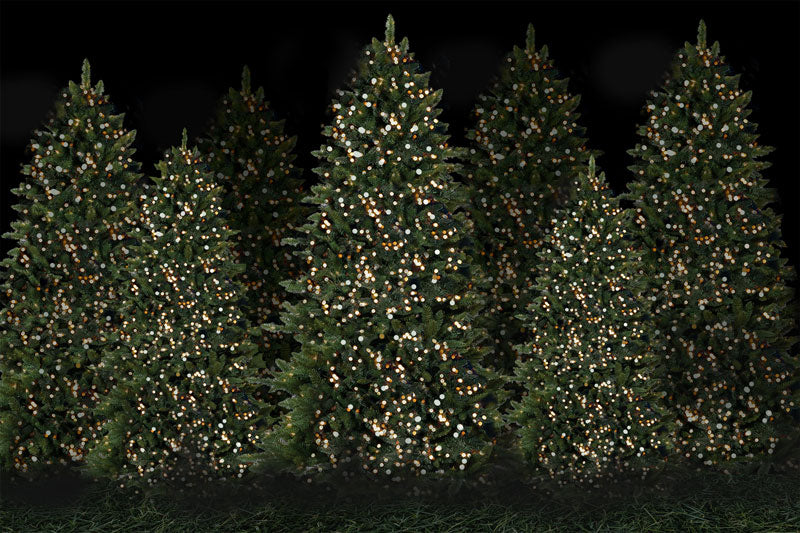 Fox Christmas Tree Night Fabric/Vinyl Backdrop Photography