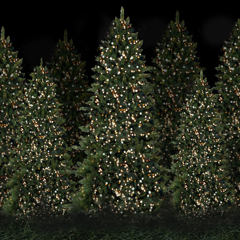 Fox Christmas Tree Night Fabric/Vinyl Backdrop Photography