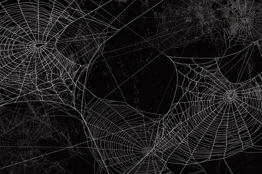 Fox Halloween Black Spider Web Fabric/Vinyl Backdrops