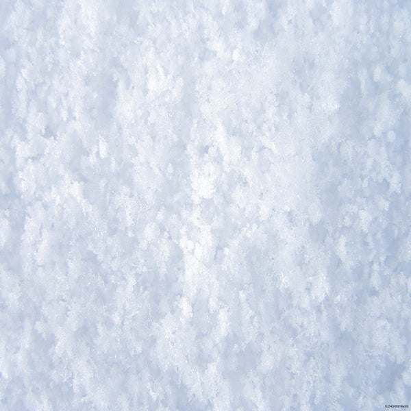 Fox White Snow Rubber Mat Floor - Foxbackdrop