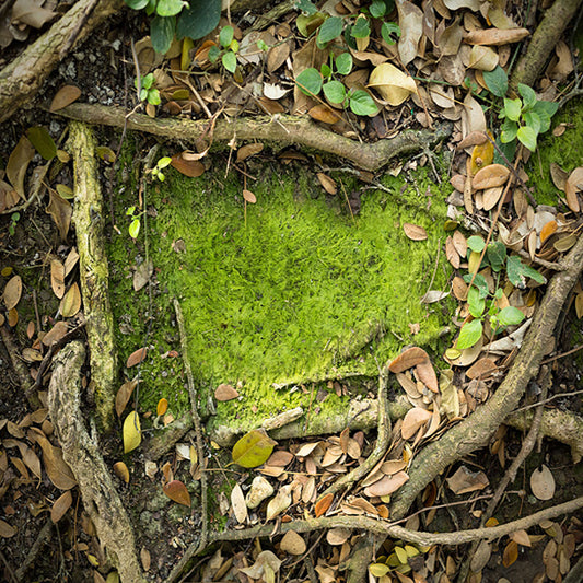 Fox Branch Leaves Rubber Mat Floor - Foxbackdrop