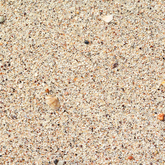 Fox Sand Beach Shell Rubber Mat Floor for Photography - Foxbackdrop