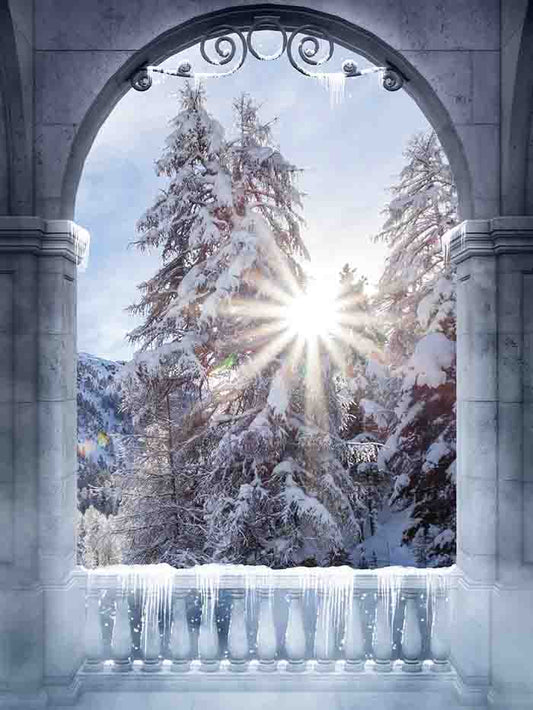 Fox Rolled Winter Snow Oval Door Vinyl Photo Backdrop - Foxbackdrop