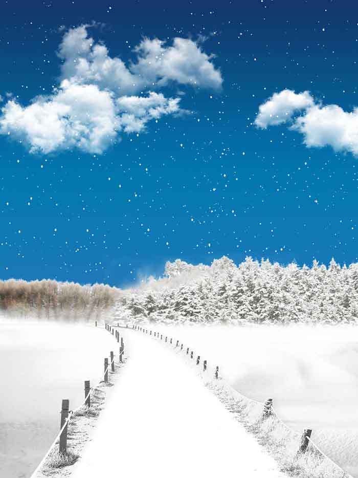 Fox Rolled Winter Snow Bridge Vinyl Photography Backdrop - Foxbackdrop
