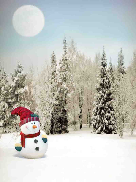 Fox Rolled Outdoor Winter Snowman Vinyl Photography Backdrop - Foxbackdrop