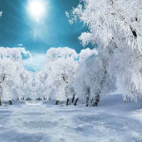Fox Rolled Winter Outdoor Snow Trees Vinyl Backdrop - Foxbackdrop
