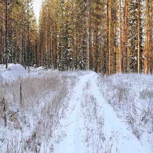 Fox Rolled Winter Snow Forest Vinyl Photo Backdrop - Foxbackdrop