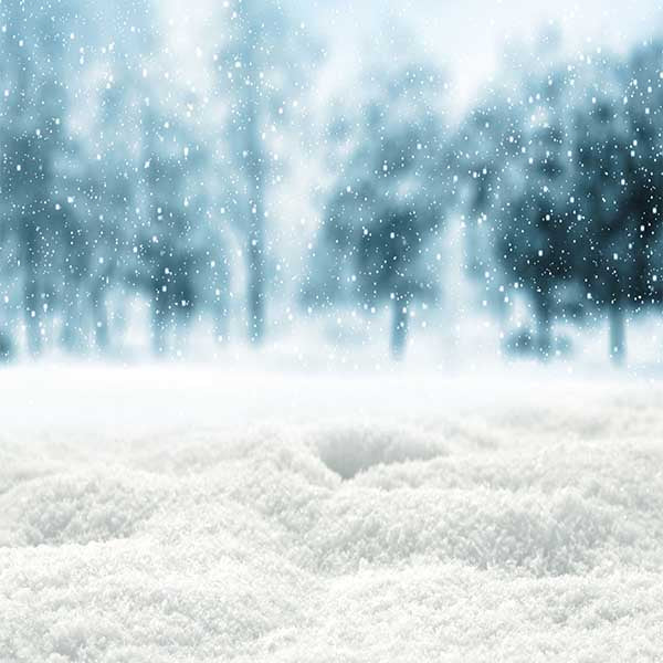 Fox Rolled Winter Snow Land Vinyl Photo Backdrops - Foxbackdrop
